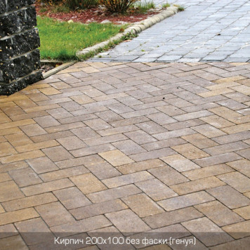 Кирпич 200х100 без фаски-15