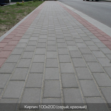 Кирпич 200х100-13