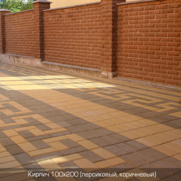 Кирпич 200х100-8