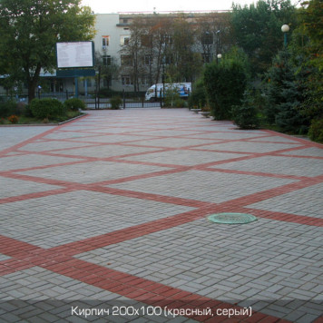 Кирпич 200х100-4