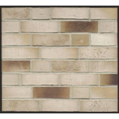 Клинкерный кирпич K919NF