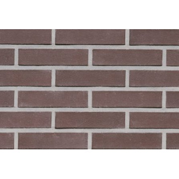 Клінкерна цегла 402 PRAAG-0