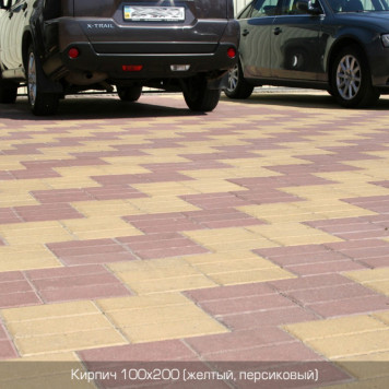 Кирпич 200х100-9