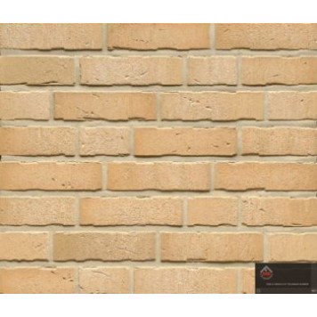 Клінкерна плитка R756 DF14-0
